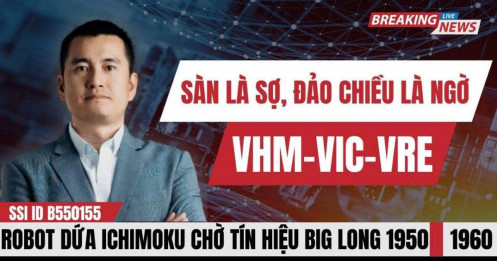 Bài viết HAY của chuyên gia