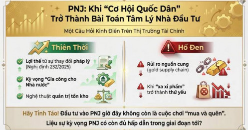 PNJ: Khi "Cơ Hội Quốc Dân" Trở Thành Bài Toán Tâm Lý Nhà Đầu Tư