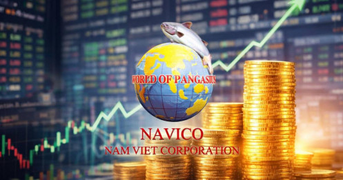 ANV Q4/2025: Lợi nhuận tăng 42 lần – Không chỉ là “đáy chu kỳ”, mà là một pha tái định giá thực sự?