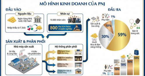 PNJ - Khi "Đế Chế" Kim Hoàn Không Chỉ Sống Nhờ Vàng