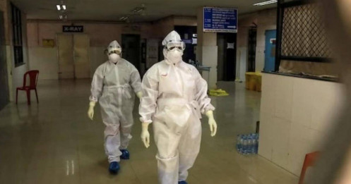 Virus Nipah bùng phát tại Ấn Độ, TP.HCM phát thông báo khẩn về phòng, chống dịch