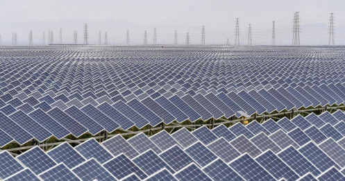 2.300 tỷ USD đổ vào công nghệ xanh: Kỷ lục lịch sử nhưng vẫn “muối bỏ bể” cho Net Zero