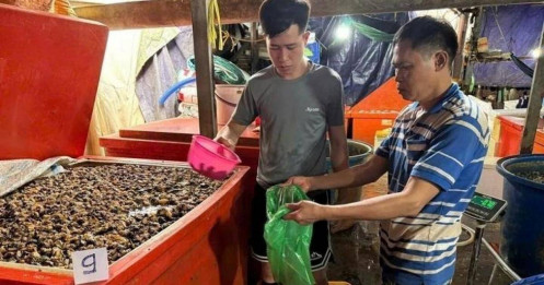 Lời khai của chủ vựa ngâm 3.000 tấn thịt ốc bằng hóa chất công nghiệp