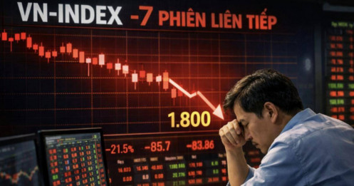 Chuỗi giảm sốc nhất 7 năm: VN-Index rơi tự do 7 phiên, nhà đầu tư còn chịu đựng bao lâu?