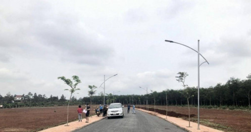 Đầu cơ đất ăn theo điện gió, điện mặt trời: Tỉnh lớn thứ 2 Việt Nam yêu cầu công an vào cuộc