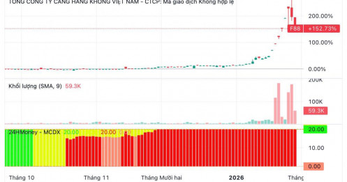 Từ doanh nghiệp tỷ đô rơi thẳng xuống đất: F88 mất 7.200 tỷ trong 48 giờ