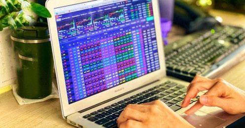 Chuyên gia khuyến nghị chọn cổ phiếu trên nền tăng trưởng cao