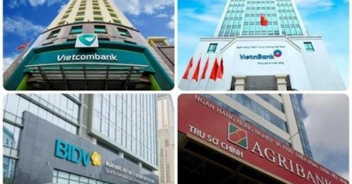 Bức tranh phân hóa của nhóm ngân hàng