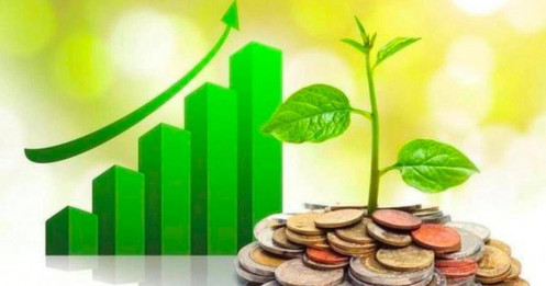 Lịch chốt quyền cổ tức tuần đầu tháng 2: Cổ tức tiền mặt cao nhất 30%, một công ty chứng khoán sắp "lăn chốt"