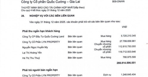 Lộ danh tính người chi trăm tỷ mua vốn hai doanh nghiệp “giải cứu” Quốc Cường Gia Lai