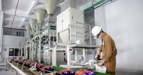 DGC: Doanh thu tăng nhưng lãi lao dốc, rủi ro nguồn cung phủ bóng năm 2026