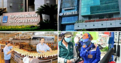 Vì sao không phải mọi doanh nghiệp Nhà nước đều hưởng lợi từ “5 HÓA”?