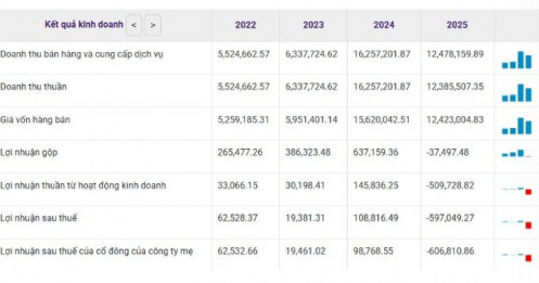 Doanh thu lớn, kết cục đau: Lỗ sâu nhất TTCK 2025 gọi tên ai?
