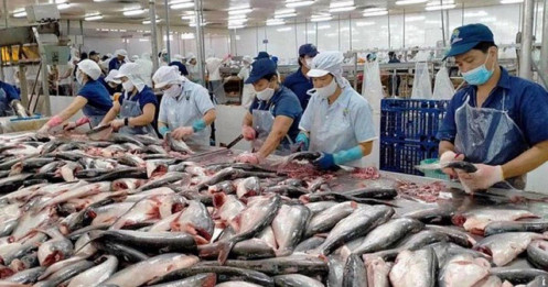 Tháo gỡ ách tắc cấp COA, tránh gián đoạn xuất khẩu thủy sản sang Hoa Kỳ