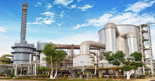 Cơ hội nào cho DGC sau cú rơi mạnh?