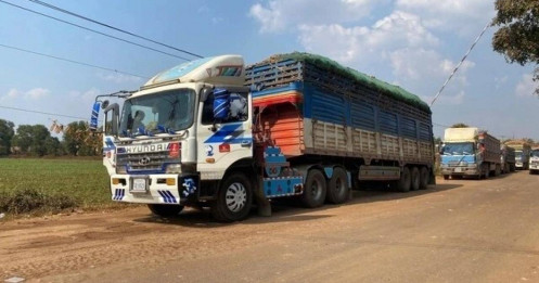 Thủ tướng yêu cầu giải tỏa ách tắc hàng hóa tại cửa khẩu