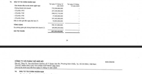 Hơn 700 tỷ đồng vào cổ phiếu: Lãnh đạo DGW đang toan tính điều gì?