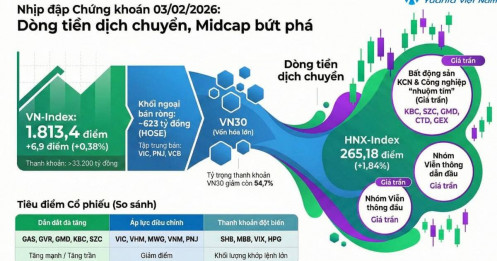 VN-Index ngày 03/02: "đổ bê tông" tại 1.800 điểm – dòng tiền thông minh đang âm thầm gom hàng đón tết?