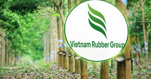GVR tăng 70% nhưng lợi nhuận không tăng tương ứng — Siêu cổ phiếu hay bẫy chu kỳ?