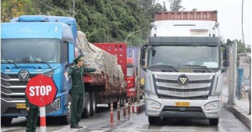 Tạm dừng áp dụng Nghị định số 46 về an toàn thực phẩm đến hết ngày 15/4/2026