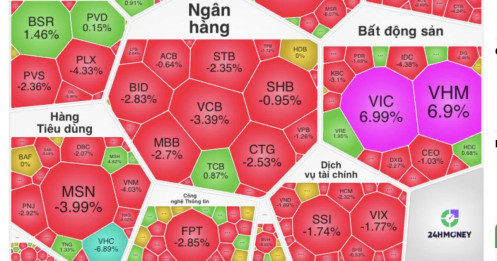 "Họ Vin" một mình một ngựa ngược dòng bão táp!