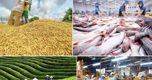 Xuất khẩu nông, lâm, thủy sản khởi sắc đầu năm 2026, tăng gần 30% so với cùng kỳ