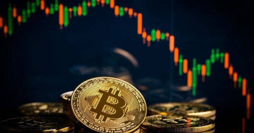 Bitcoin lao dốc, niềm tin “ôm đến cùng” vỡ trận — Gần 500 tỷ USD bay khỏi thị trường tiền số