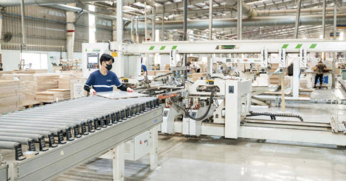 Ngành gỗ 2025: Cuộc chơi của số ít