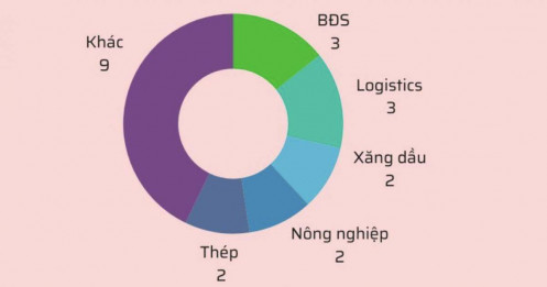 20 DN lỗ trước thuế lớn nhất năm 2025
