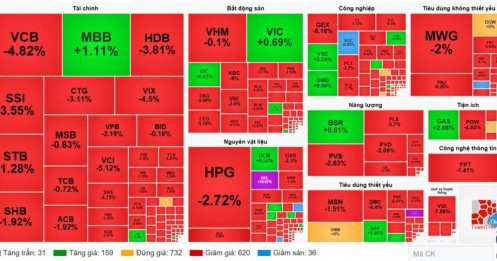 Bài viết HAY của chuyên gia