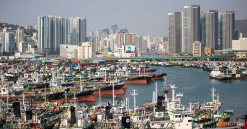 Kinh nghiệm cải cách từ Hàn Quốc và Trung Quốc để tăng trưởng 10%/năm