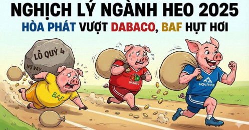 Ngành chăn nuôi năm 2025: Cuộc đổi ngôi về hiệu quả và sự bứt phá của Nông nghiệp Hòa Phát