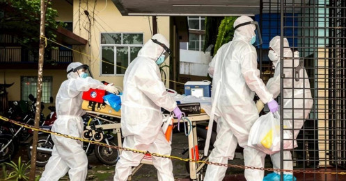 Ca tử vong do virus Nipah là do thói quen hàng ngày
