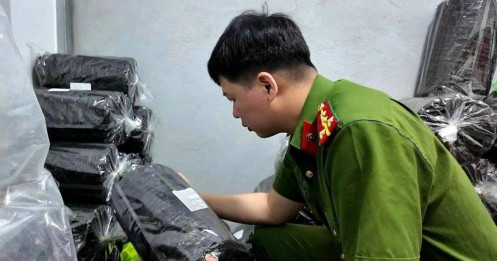 Rong biển hay rác thải đội lốt?