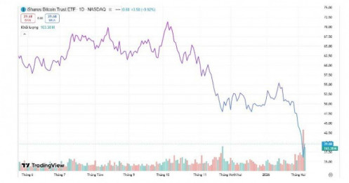 Điều gì khiến “cá voi” Bitcoin bùng nổ giao dịch kỷ lục?