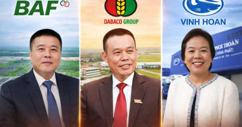 “Ngôi Vương Ngành Heo 2026: HPA tối ưu hoá lợi nhuận – Dabaco giữ ngai quy mô – BAF đánh cược tương lai?”