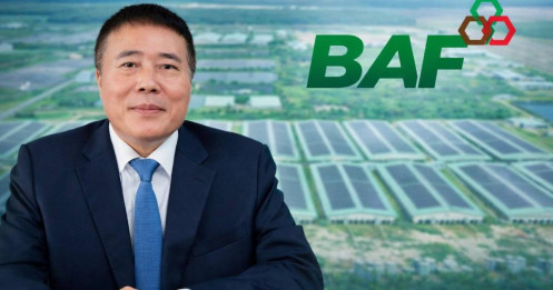 Giá Heo Lập Đỉnh – Nhưng BAF Lại Lỗ Nặng: Sai Ở Chu Kỳ Hay Sai Ở Chiến Lược?