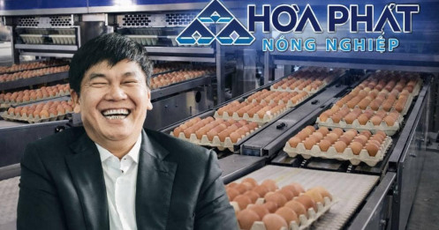 HPA chào sàn HOSE: “mỏ vàng nông nghiệp” của Hòa Phát hay đỉnh chu kỳ giá heo? Lợi nhuận +55% có bền vững sau IPO?