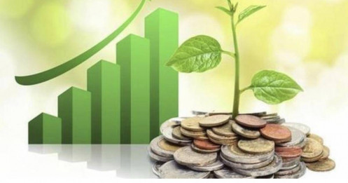 7 doanh nghiệp trả cổ tức bằng tiền mặt trong tuần này, cao nhất 12%