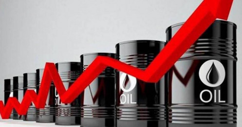 Giá dầu cho chúng ta biết điều gì về thị trường?