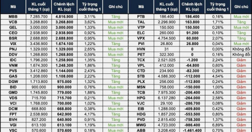 Vì sao quỹ Dragon Capital mạnh tay bán cổ phiếu họ Vin?