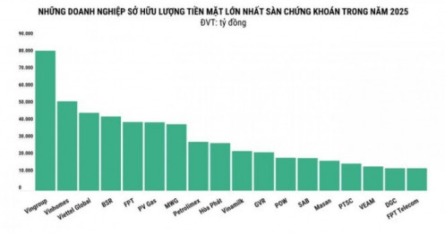 Doanh nghiệp nào đang nắm giữ nhiều tiền mặt nhất trên sàn chứng khoán?