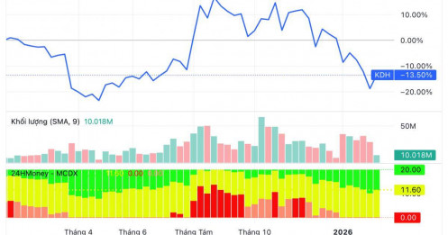 Lãi kỷ lục, cổ phiếu vẫn lao dốc: Nghịch lý khó hiểu của Khang Điền (KDH)