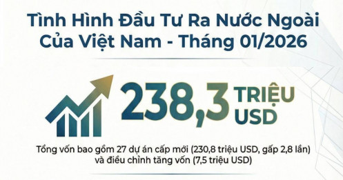 Vì sao dòng vốn Việt Nam ra nước ngoài tăng mạnh ngay đầu 2026?