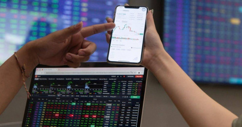 Một số cổ phiếu cần quan tâm ngày 11/2