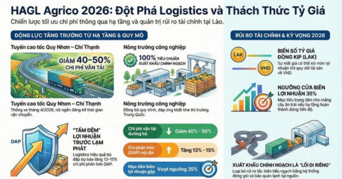 HAGL Agrico (HNG) : Khi Logistics đấu với áp lực tỷ giá