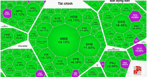 Tổng hợp thị trường phiên giao dịch ngày 11/02/2026