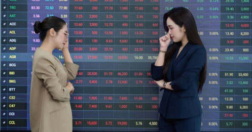 4 năm "gồng" cùng đất: Cổ đông BĐS chạm đáy kiên nhẫn