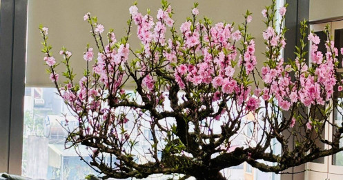 Ngày làm việc cuối năm
