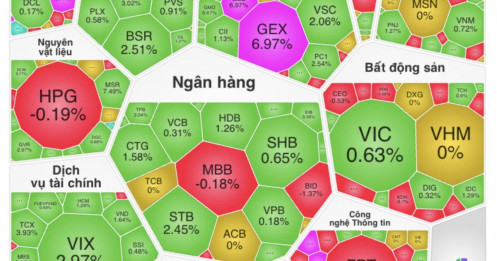 Ngược sóng “bão lửa” toàn cầu, VN-Index chốt năm Ất Tỵ trong sắc xanh